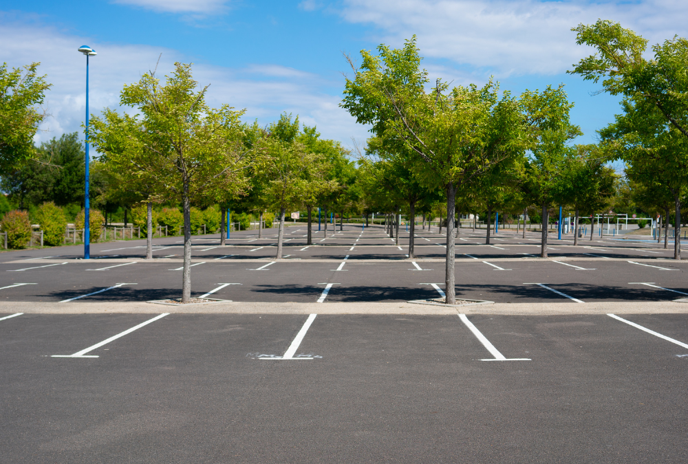 The Power of Asphalt Pavement Maintenance: A Vital Investment for Businesses